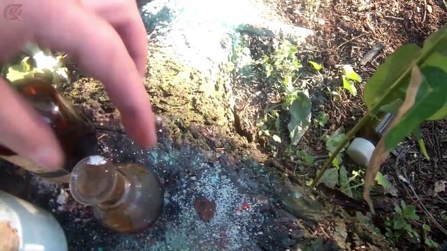 наша химия химичим в лесу смотреть онлайн