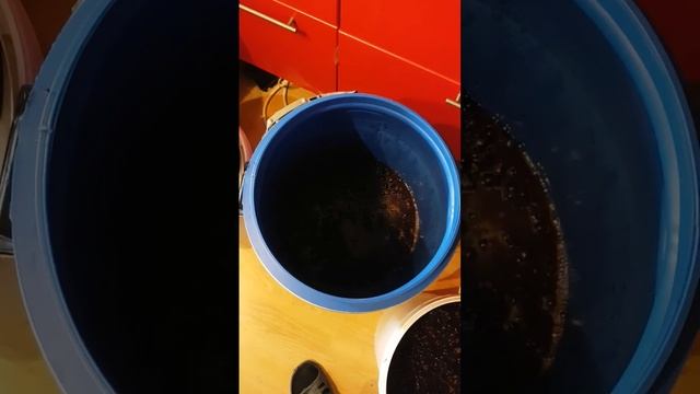 Приготовление вина из винограда Каберне Совиньон. Часть 1 смотреть онлайн
