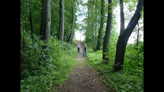 Наши экскурсии  г Руза