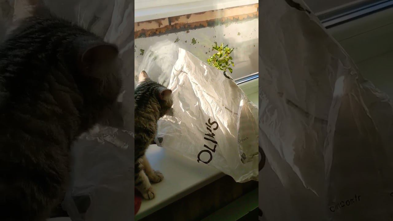 24 октября 2022 г. смотреть онлайн