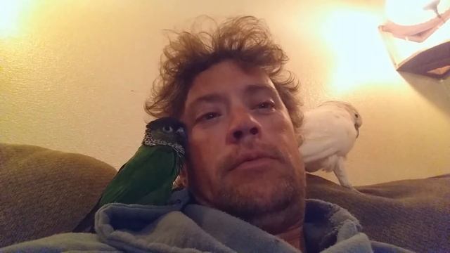 Enough Pebble already смотреть онлайн