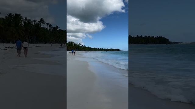 Лучший пляж Saona island beach #saonaisland #саона #доминикана смотреть онлайн