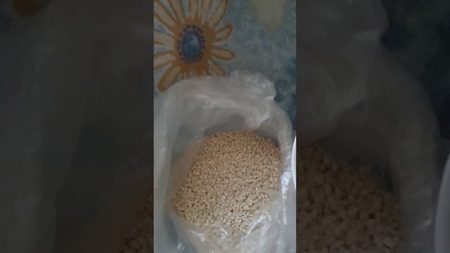 Полезности на Десерт. Кунжут. Новое о Кунжуте! смотреть онлайн