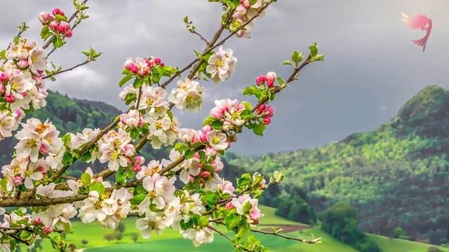 Лучшая исцеляющая музыка и мантры ♫? ZEN MUSIC смотреть онлайн