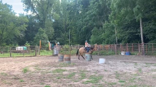 ZNZ ABBY - 2004 AQHA BUCKSKIN MARE смотреть онлайн