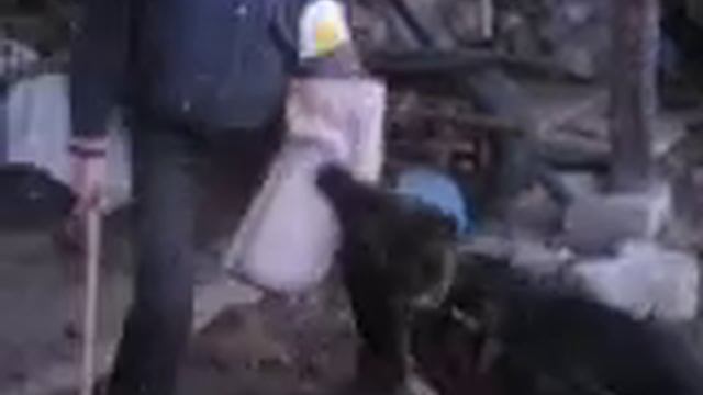 Top vom Kirchberghof смотреть онлайн