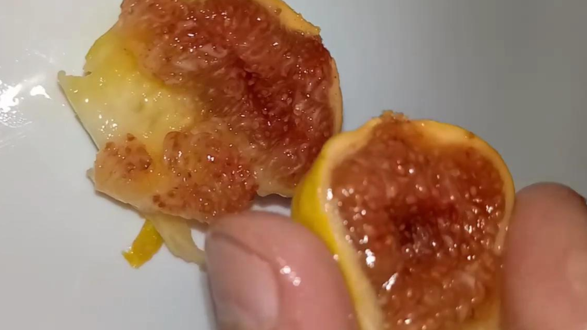 Инжир Жёлтый Апшеронский. Лучшие сорта инжира в России | Small Gardens