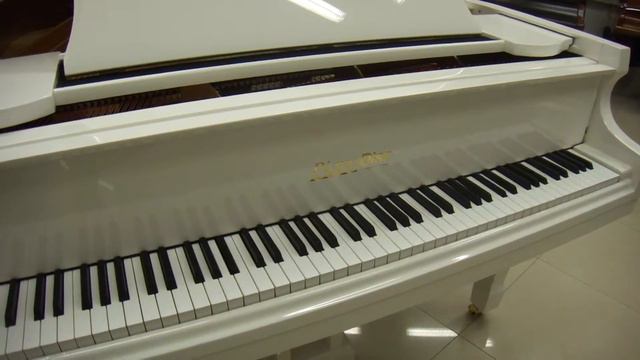 Самоиграющий iPad-рояль — Элвис Пресли смотреть онлайн