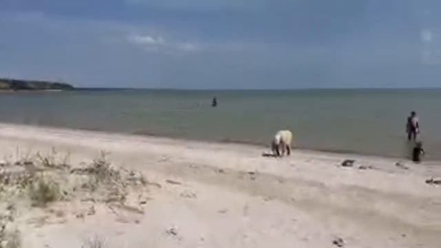 переезд на юг без денег Открываем Сезон смотреть онлайн