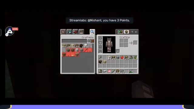 Minecraft Public SMP Anyone Can Join Pocket Edition/ JAVA | Playing With Subscriber #rgamerzlive смотреть онлайн