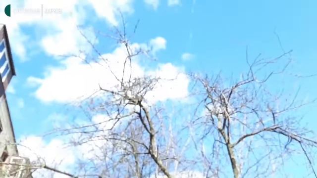 Бомбардировка Харькова в реальном времени смотреть онлайн