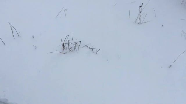 Выпал снег снегоход готов ехать смотреть онлайн