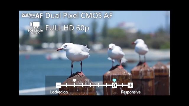 Canon 80D O'zbekcha sharh | To'liq Ma'lumot 2020 смотреть онлайн