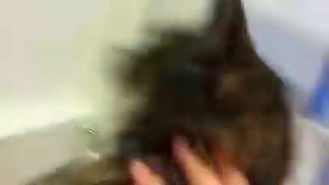 Leo and Spenser смотреть онлайн