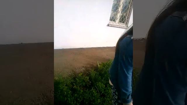 Шок !!!!! Яну довели но слёз! Ронни скулит ! Не смогли доснять смотреть до конца!!!!! смотреть онлайн