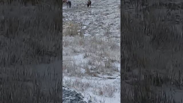 очень новый порт вахта