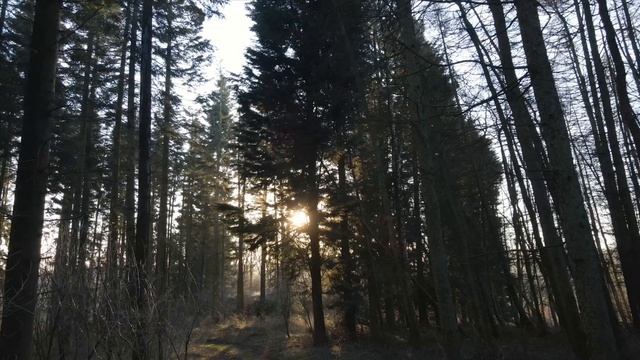 Мудрые цитаты, Мысли со смыслом. смотреть онлайн