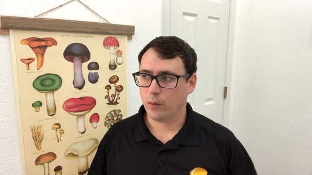 TOP 5 MISTAKES GROWING MUSHROOMS: common pitfalls to avoid while cultivating mushrooms смотреть онлайн