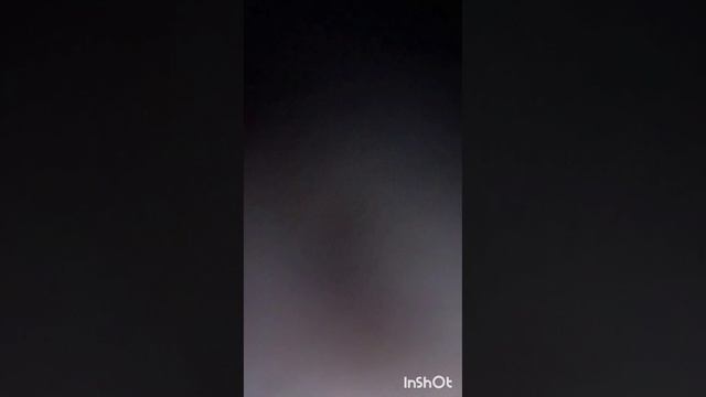 сделали свой фильм смотреть онлайн
