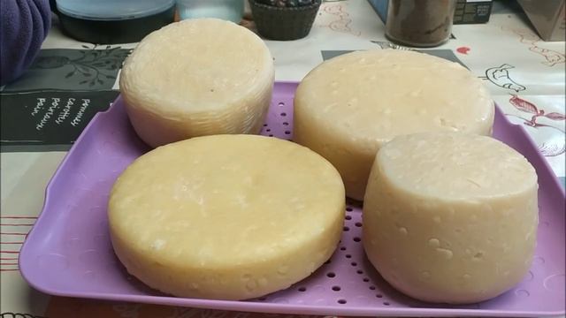 Сырное хозяйство Литвиных смотреть онлайн