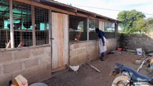 #11 Африка. Как живёт семья учителя в Гане.