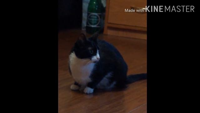 Фотографии!!! Часть 1!!! смотреть онлайн