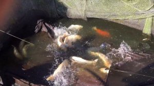 Несокрушимые  на экскурсии по Черепетскому водохранилищу