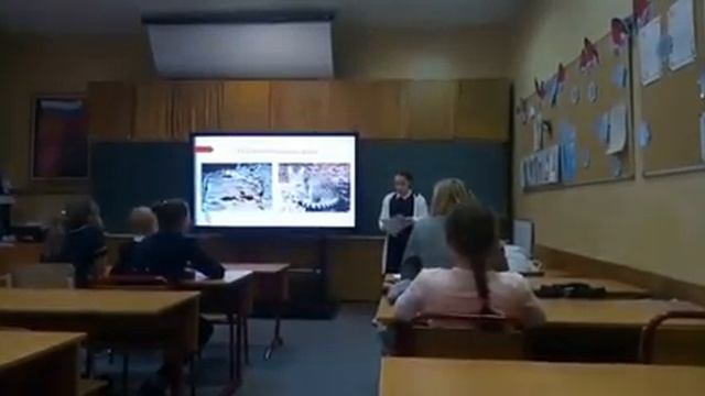 Глазчатая кошачья акула смотреть онлайн