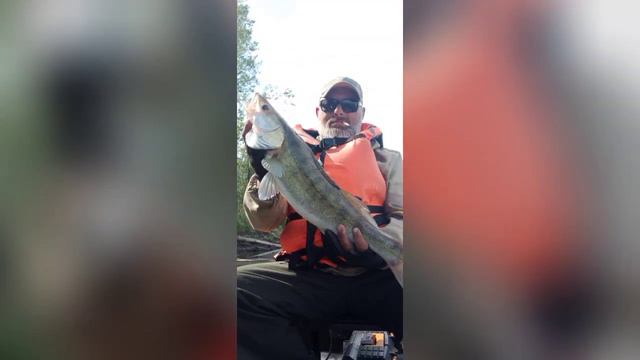 Так прошел уходящий 2023 рыболовный год! С наступающим 2024 годом друзья! смотреть онлайн