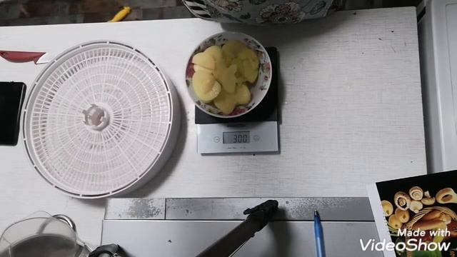 Как не нужно сушить чипсы из картошки. Не удачный эксперимент. EZIDRI FD500. (05.20) 5AFamily смотреть онлайн