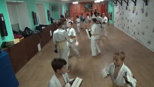 Тренировка 03 сентября 2019 года. Группа №3 Киокусинкай Каратэ Климовск смотреть онлайн