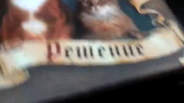 WaRRioRS/Коты воители