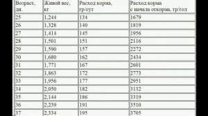 Показатели роста и количества корма по дням. Бройлер Росс 308