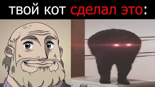 Твой кот сделал это: смотреть онлайн