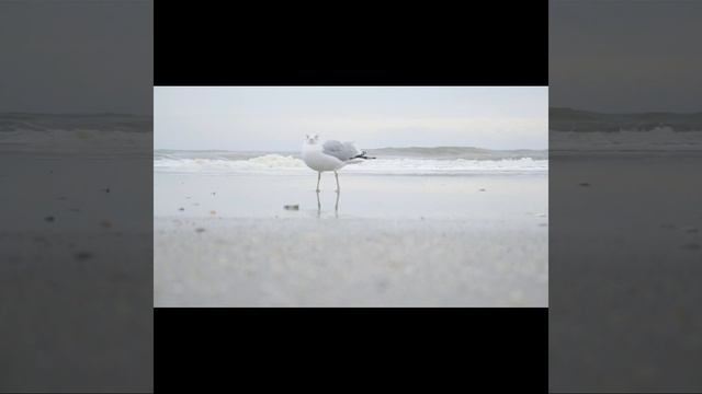 Это важно знать каждому. Тело - твой друг.