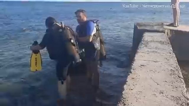 Поехали в Геленджик на 3 дня. Море, дайвинг, атракционы и очень много брошенных животных. смотреть онлайн