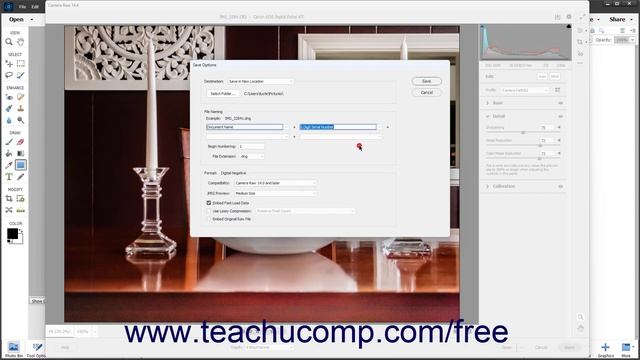 How to Save a Camera Raw File as a DNG File in Adobe Photoshop Elements 2023: A Training Tutorial смотреть онлайн