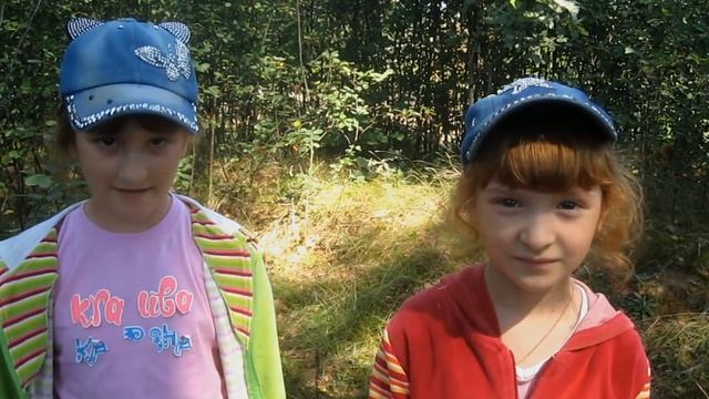 Какие грибы вырастают после грозы. Собираем грибы после ночного ливня. смотреть онлайн