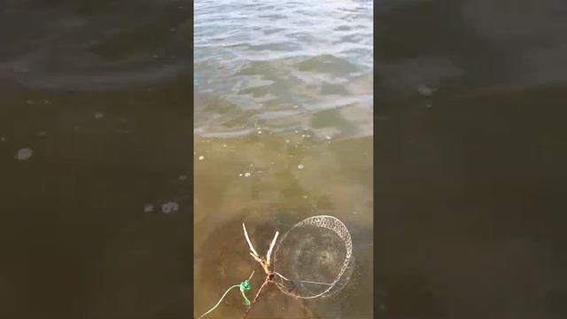 Рыбалка и отдых на шардаре 2017г смотреть онлайн