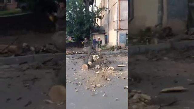 Одним махом, как Вандам с вертушки. Вот такой пильщик работает у нас смотреть онлайн