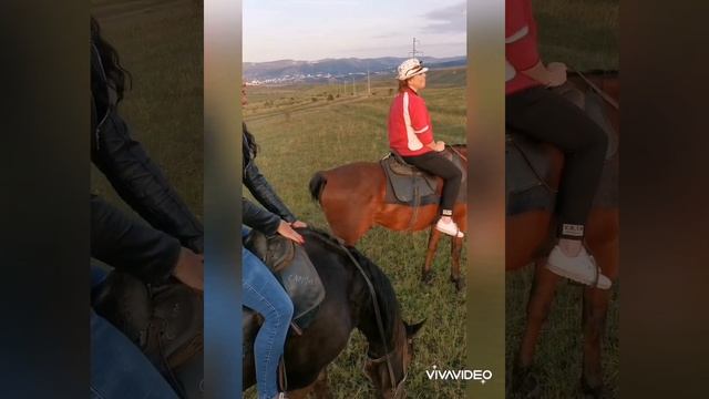 Конные прогулки Карачаево- Черкессия Красный Курган смотреть онлайн