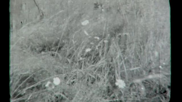 Г. Горький и Горьковская область, 1967-1968 гг. смотреть онлайн