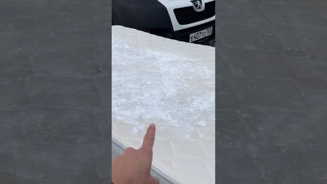 Избавляемся от плесени на матрасе! Произошел коллапс. Какое средство лучше? смотреть онлайн