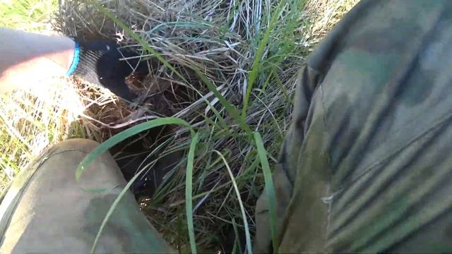 Приехал в поле и Нашёл много Металлолома.Поиск металла с Металлоискателем XTERRA 305 смотреть онлайн