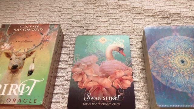 The Spirit Animal Oracle 60/68 Swan Spirit guide book audio description смотреть онлайн