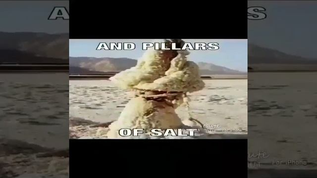 for some reason i can't explain why we live in a society where gamers dont rule the world смотреть онлайн