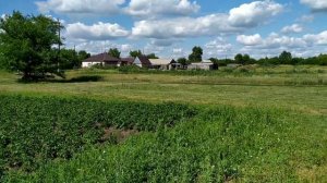 Сенокос на двух самодельных минитракторах с роторными косилками.