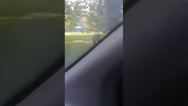 Немножко напилась смотреть онлайн