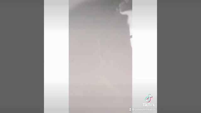 Друзья! Мы начали свой блог о животных и сырах не со знакомства, а немного, ну совсем чуть-чуть юмо смотреть онлайн