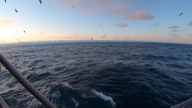 Работа на рыболовном судне. Как работать в качку? смотреть онлайн